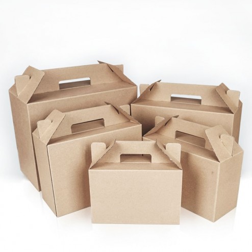 Carry Handle Corrugated Board Folding Boxes